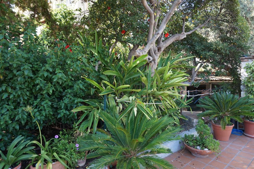 Hotel Garden